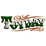 Toy Day