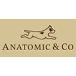 Anatomic Shoes